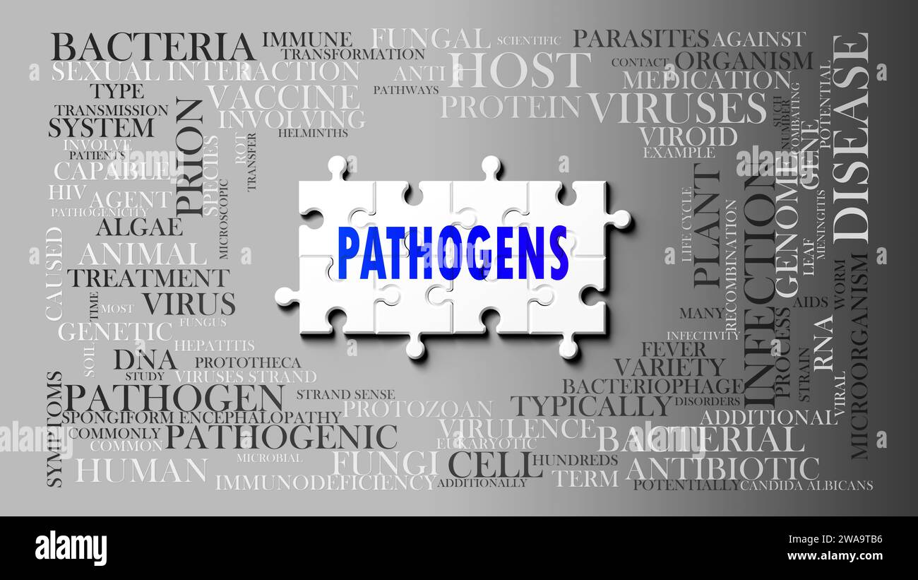 Patogeni - un argomento complesso, correlato a molti concetti. Raffigurato come un puzzle e una nuvola di parole fatta di idee e frasi più importanti relative a Pat Foto Stock