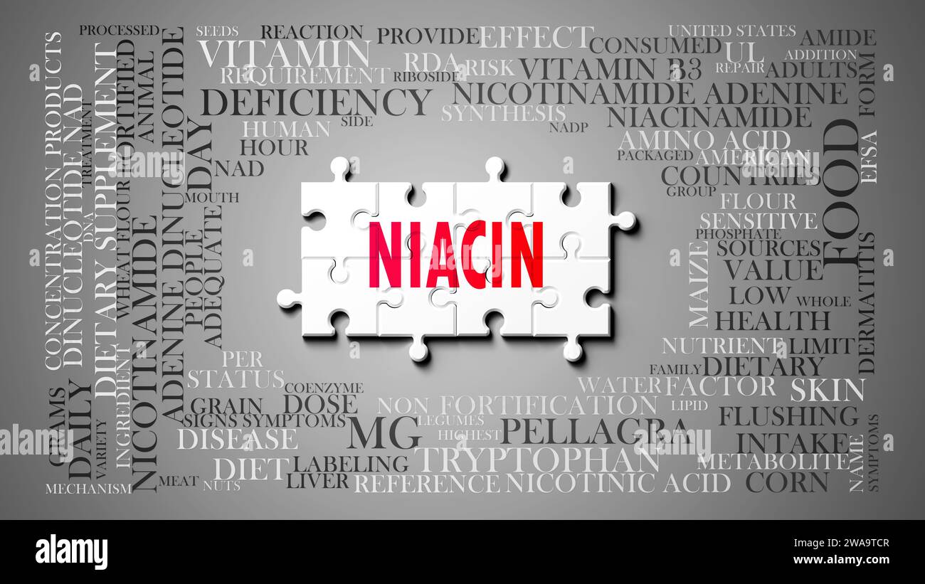 Niacin - un argomento complesso, correlato a molti concetti. Raffigurato come un puzzle e una nuvola di parole fatta di idee e frasi più importanti relative alla niacina Foto Stock