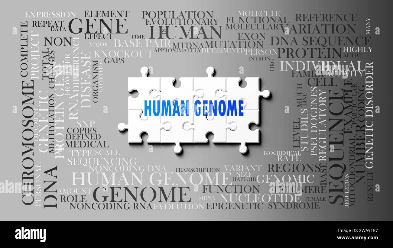 Genoma umano - un soggetto complesso, correlato a molti concetti. Raffigurato come un puzzle e una nuvola di parole fatta di idee e frasi più importanti correlate Foto Stock Genoma umano - un soggetto complesso, correlato a molti concetti. Raffigurato come un puzzle e una nuvola di parole fatta di idee e frasi più importanti correlate Foto Stock