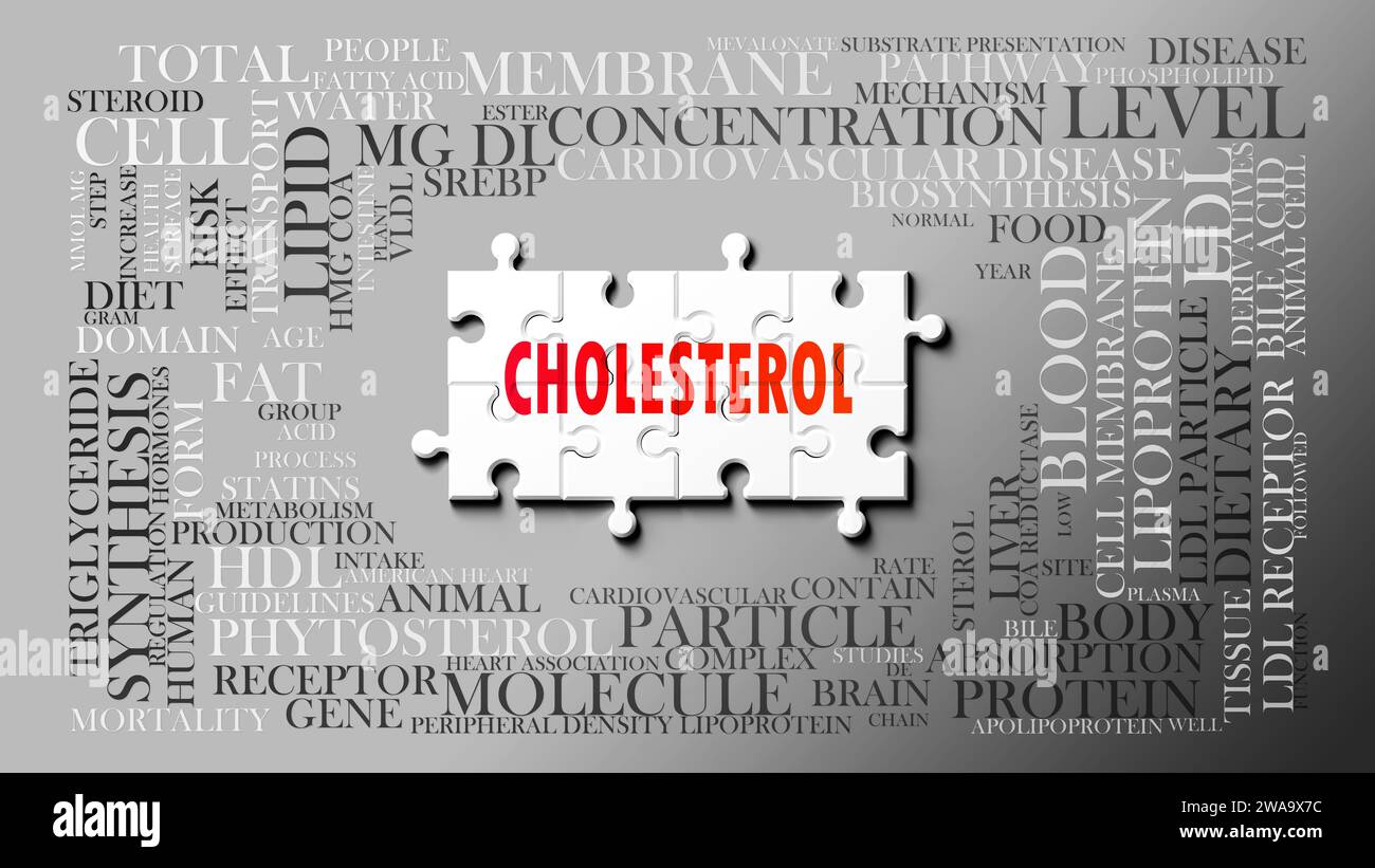 Colesterolo - un argomento complesso, correlato a molti concetti. Raffigurato come un puzzle e una nuvola di parole fatta di idee e frasi più importanti relative a c Foto Stock