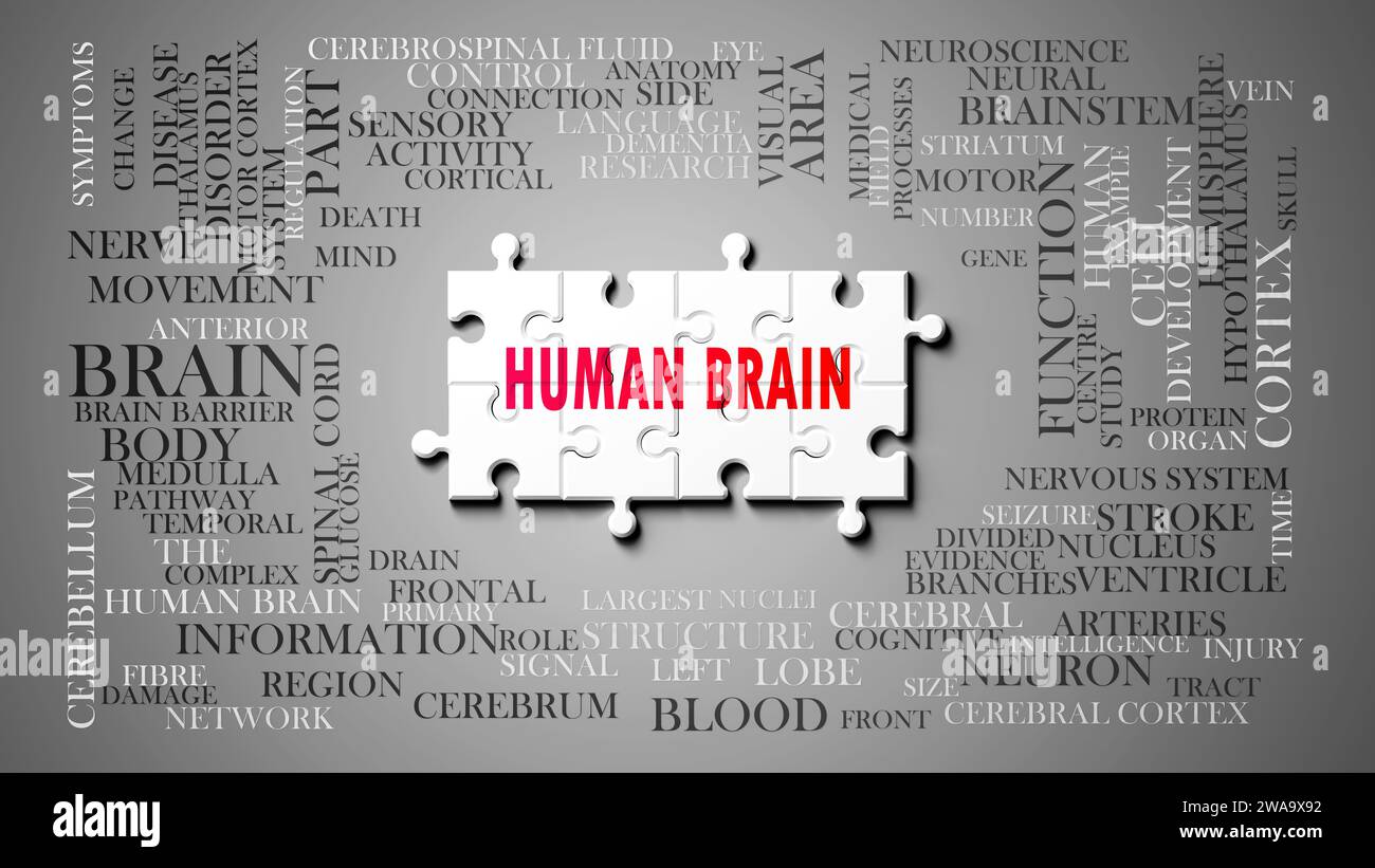 Cervello umano - un argomento complesso, correlato a molti concetti. Raffigurato come un puzzle e una nuvola di parole fatta di idee e frasi più importanti relative a h Foto Stock
