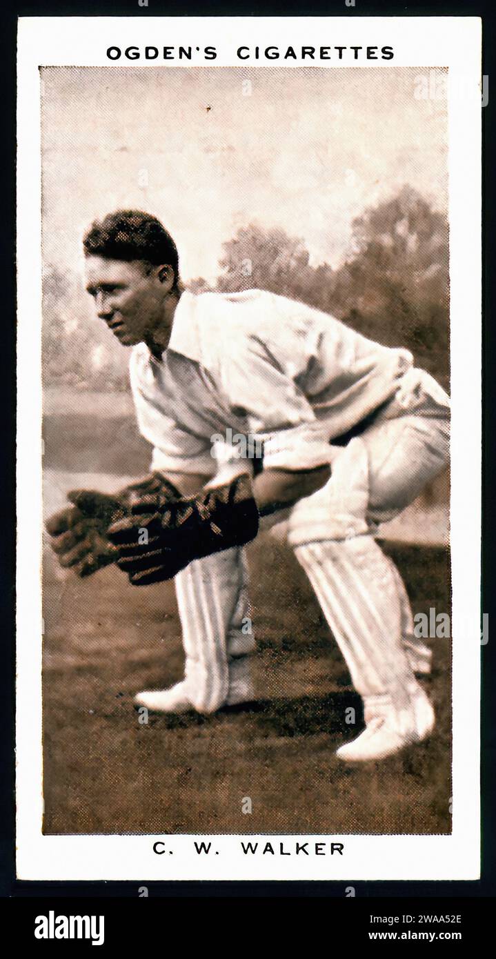 Cricketer C.W.Walker - illustrazione della carta di sigaretta d'epoca Foto Stock