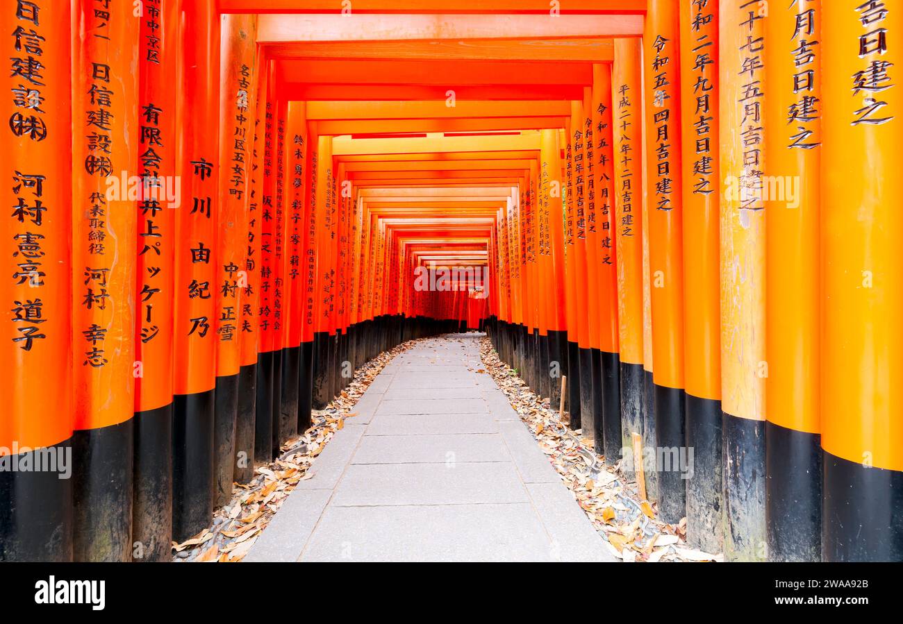 Red Torii gates in Fushimi Inari santuario a Kyoto, Giappone Foto Stock