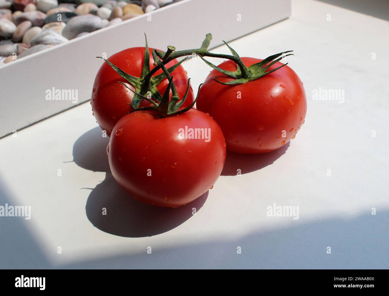 Tre pomodori rossi freschi su un davanzale bianco della cucina sotto la luce del sole Foto Stock