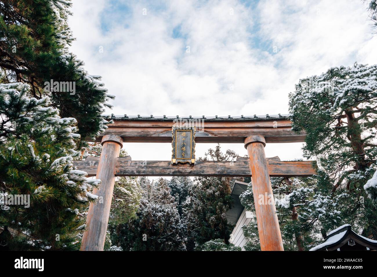 Sakurayama Hachimangu Shrine porta Torii e albero con neve invernale a Takayama, Gifu, Giappone Foto Stock