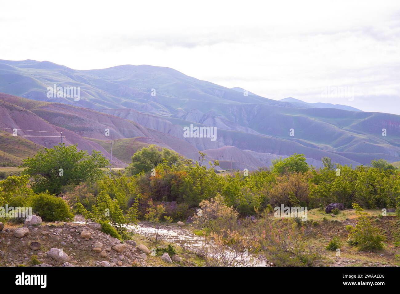 Alberi vicino al fiume in montagna. Khizi. Azerbaigian. Foto Stock