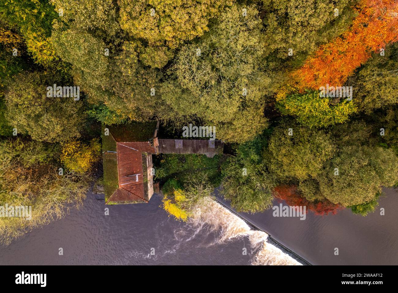 Vista aerea dall'alto di Cron Mill e Weir on River Wear al culmine dell'autunno Foto Stock