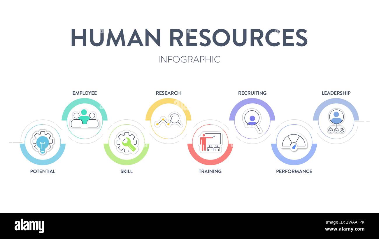 Il banner con diagramma infografico della strategia HRMS (Human Resource Management System) con icona vettore ha leadership, motivazione, abilità, formazione e prestazioni Illustrazione Vettoriale
