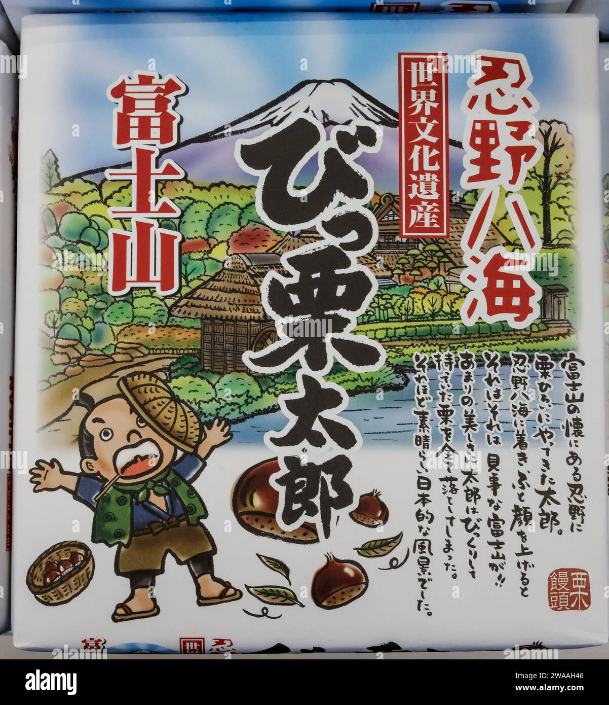 MERCHANDISING DEI PRODOTTI MOUNT FUJI IN GIAPPONE Foto Stock