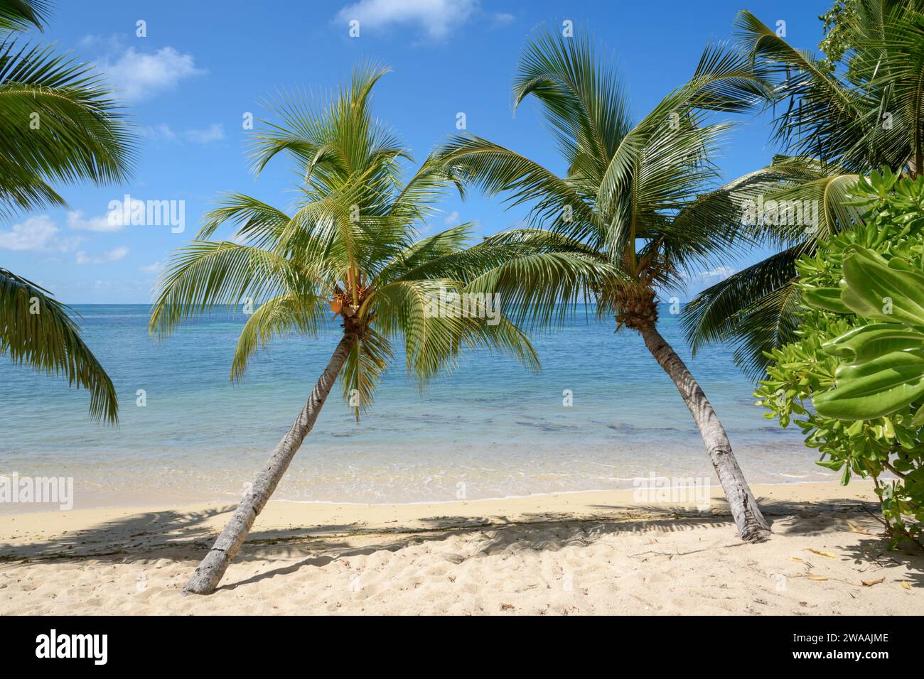 Spiaggia di Anse Cimitière. Isola di Praslin, Seychelles, Oceano Indiano Foto Stock