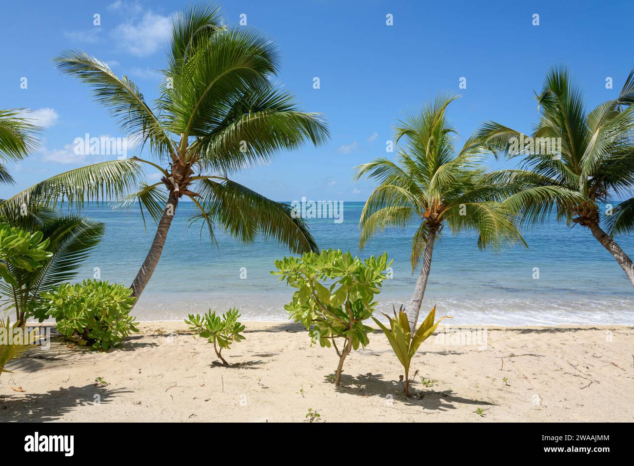 Spiaggia di Anse Cimitière. Isola di Praslin, Seychelles, Oceano Indiano Foto Stock