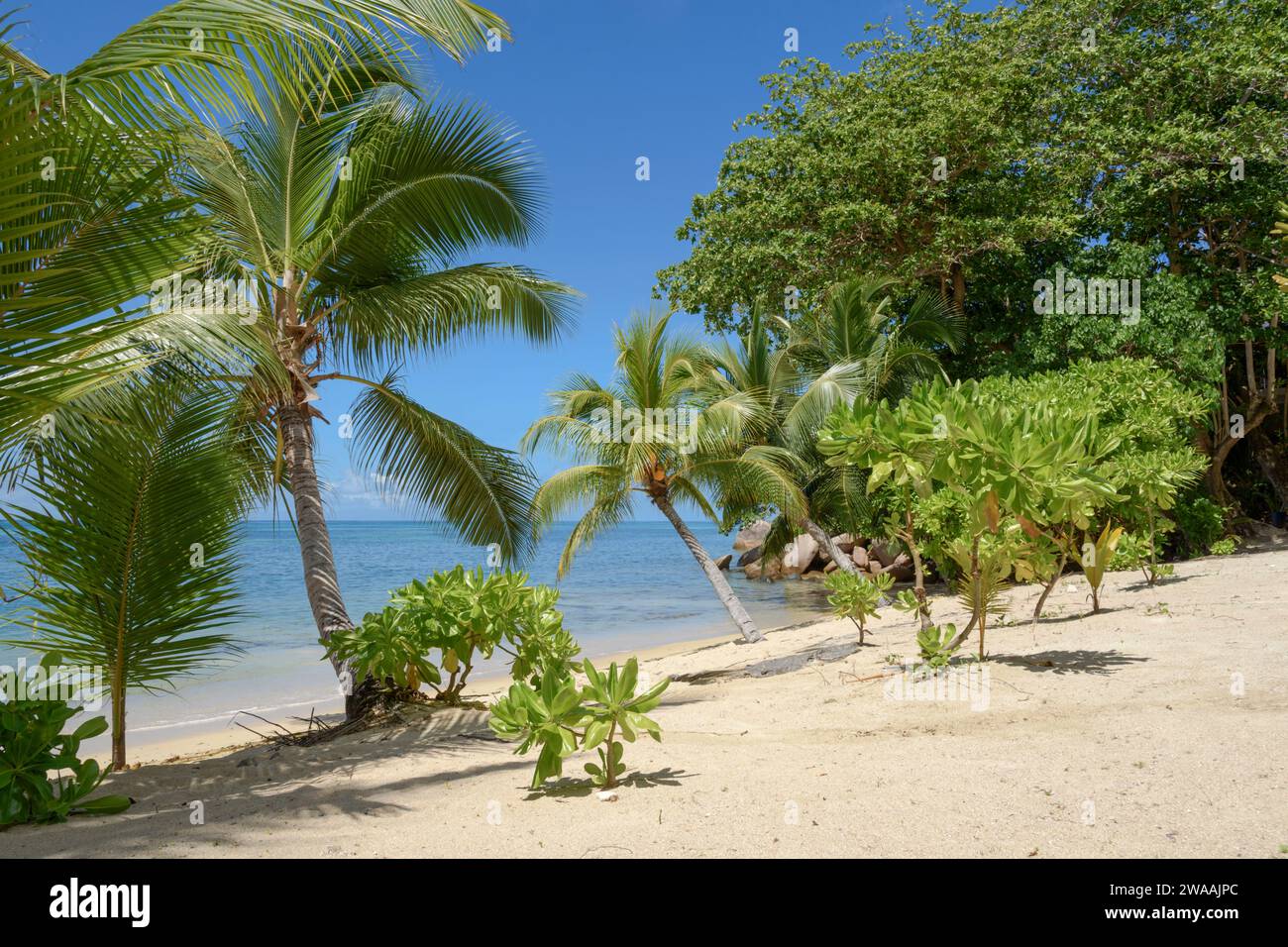 Spiaggia di Anse Cimitière. Isola di Praslin, Seychelles, Oceano Indiano Foto Stock