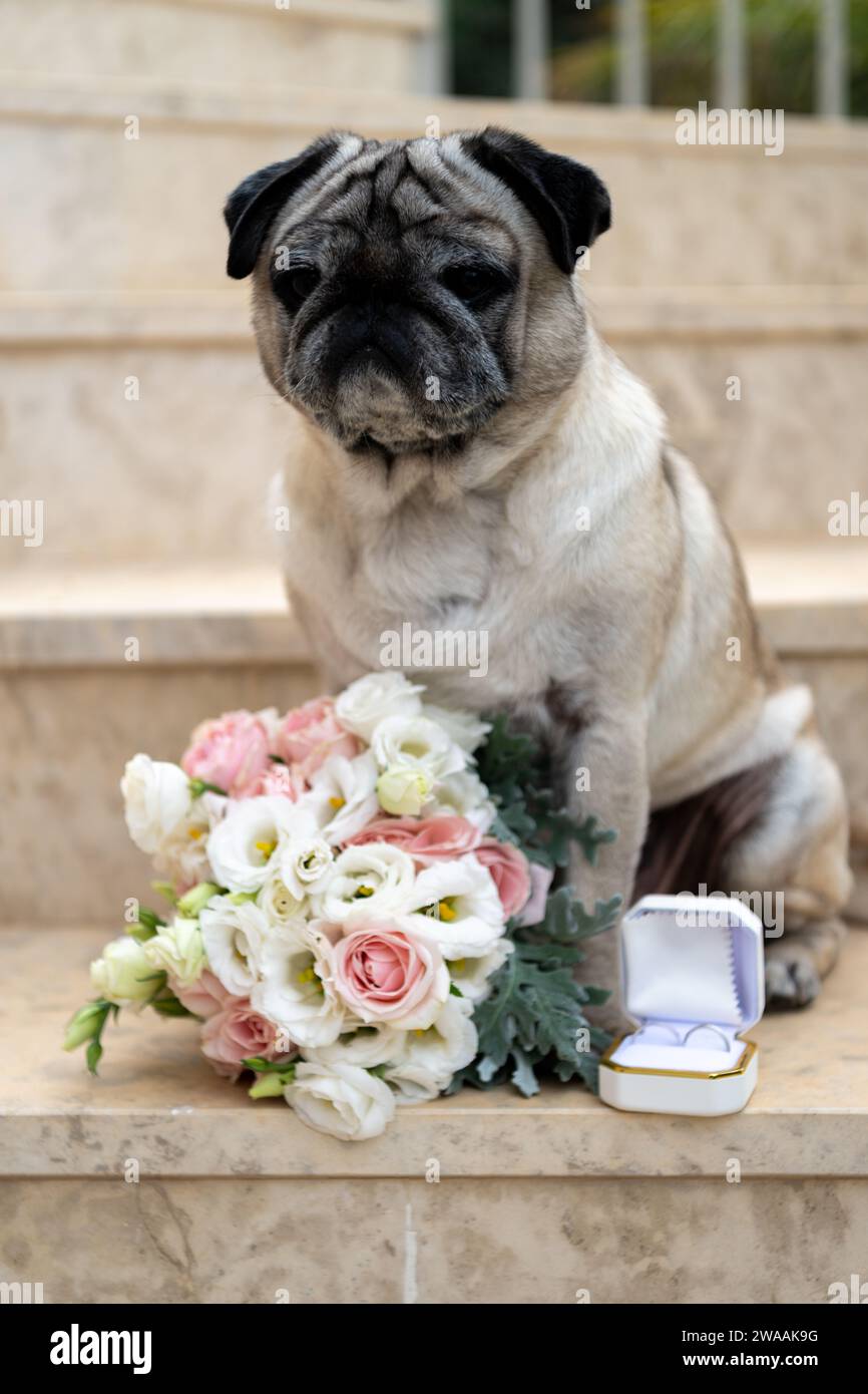 Proposta di matrimonio Foto Stock