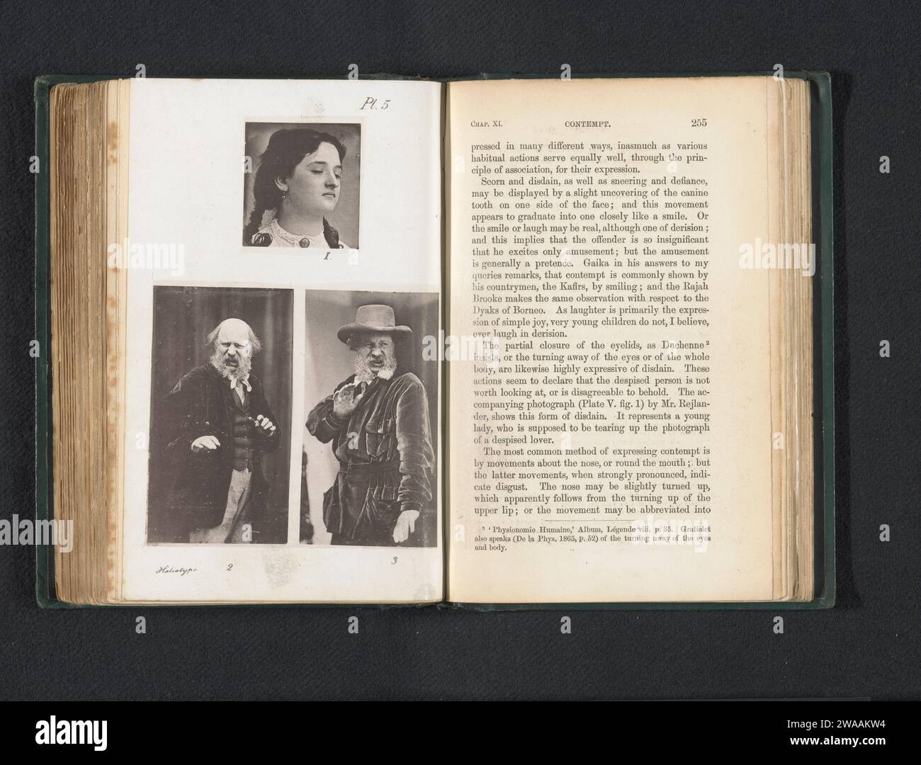 Tre registrazioni di persone che esprimono disprezzo, Oscar Gustave Rejlander, c. 1867 - in o prima del 1872 collotipo di carta stampata fotomeccanica persone storiche. morfologia dell'espressione facciale. Disprezzo Foto Stock