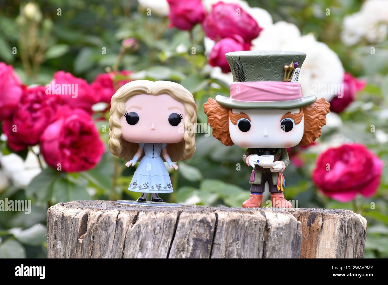 Funko Pop action figure di Mad Hatter e Alice nel Paese delle meraviglie dal popolare film fantasy Tim Burton. Rose rosse e bianche, giardino, ceppo di legno. Foto Stock