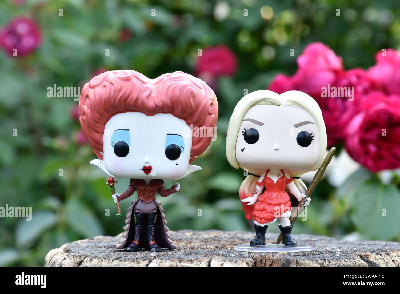 Funko Pop action figure del supereroe DC Harley Quinn e Red Queen dal film Alice nel Paese delle meraviglie. Rose rosse e bianche, giardino fiorito, ceppo di legno. Foto Stock