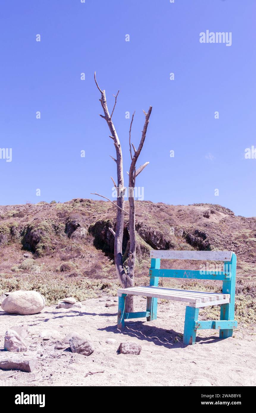 Una sedia abbandonata vicino ad un albero secco sulla costa di Los Molles, nel nord del Cile Foto Stock