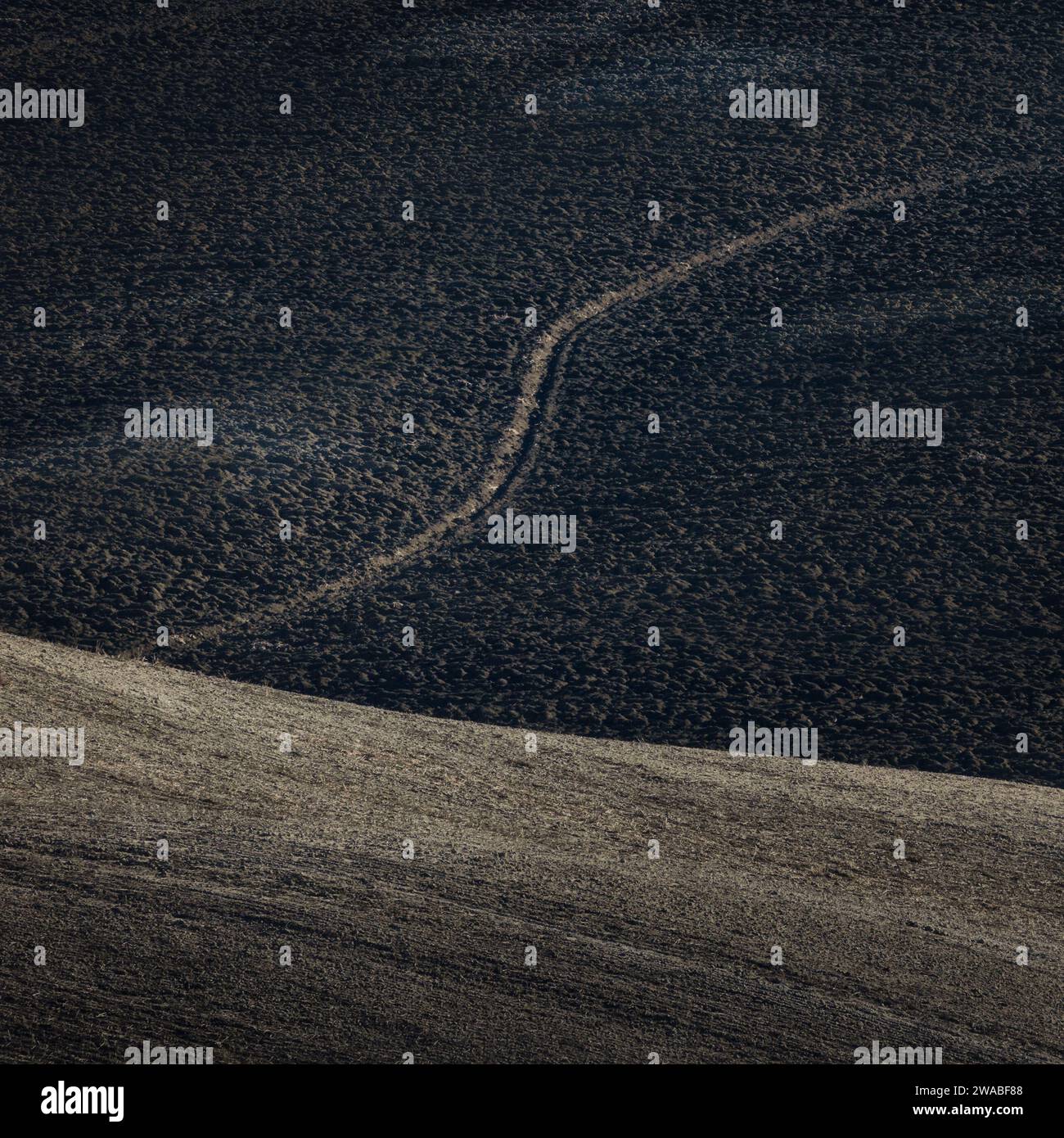 Dettagli toscani Foto Stock