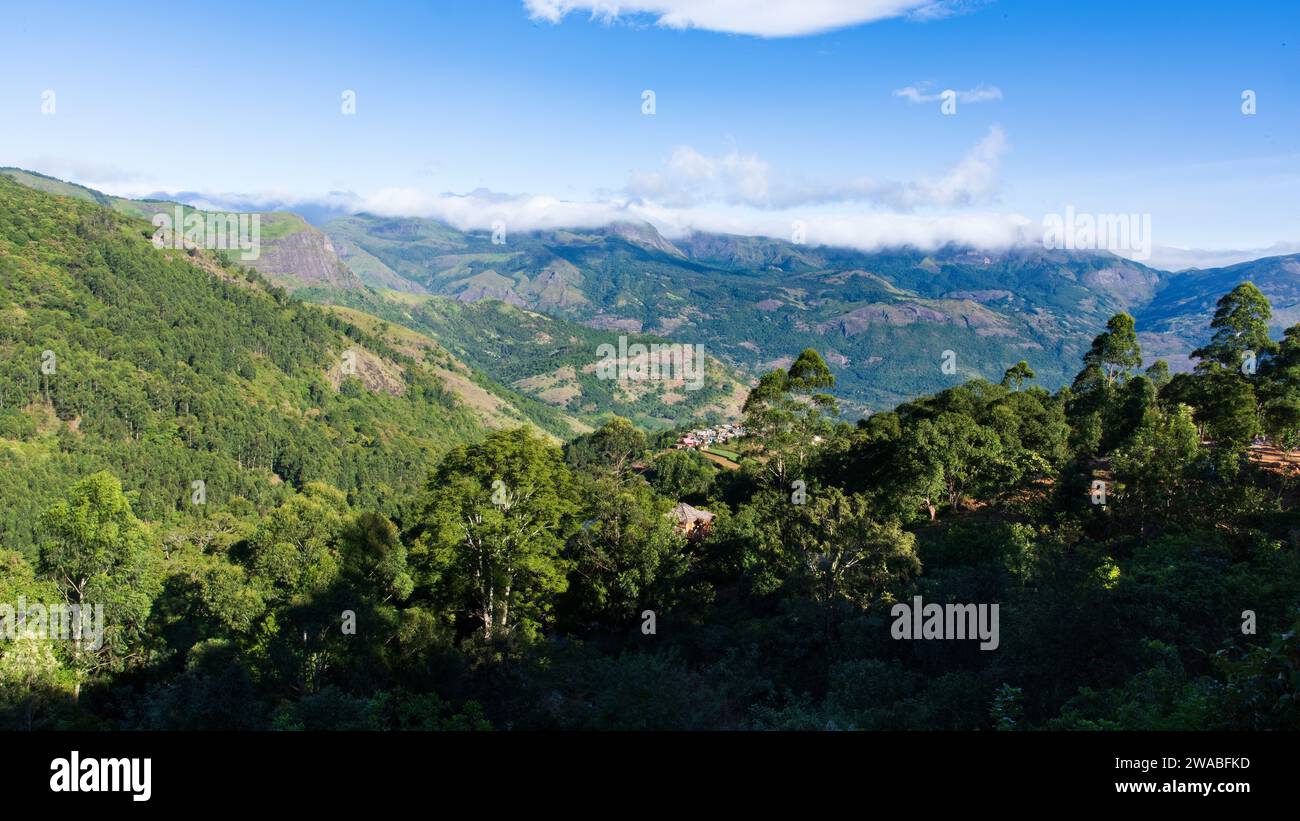 Splendido paesaggio nella zona rurale di Munnar, Kerala, India. Foto Stock