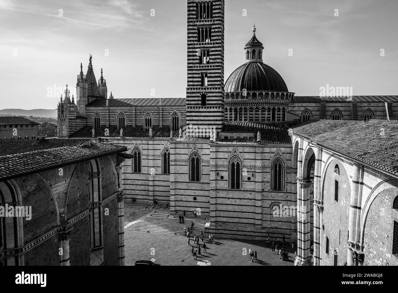 La cattedrale di Siena e la sua cupola, vista dal punto panoramico di Facciatone, Italia Foto Stock