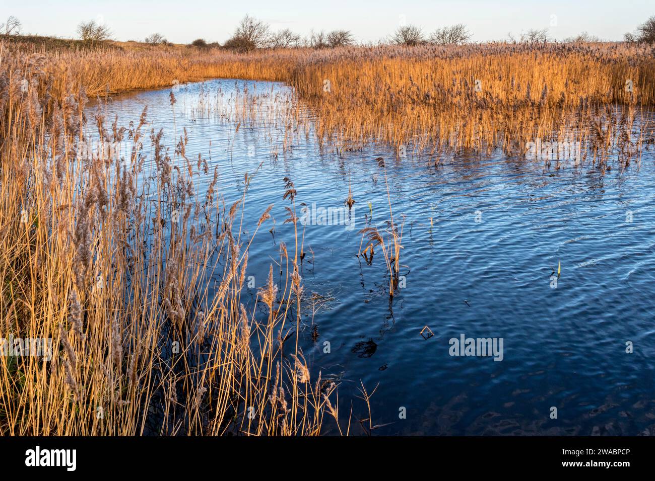 Snettisham Coastal Park e Heacham Harbour dietro la riva orientale del Washington. Foto Stock