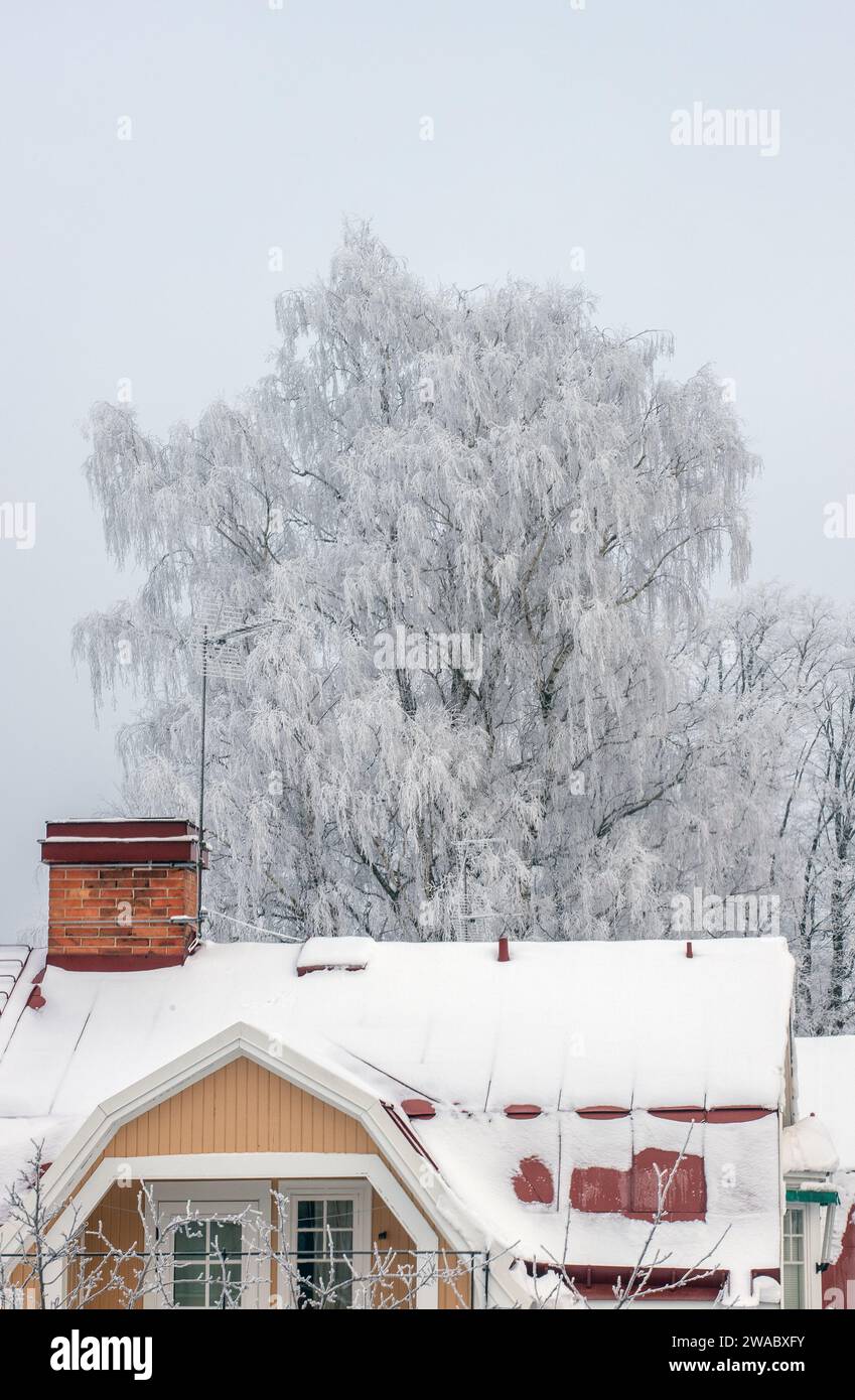Inverno con alberi ghiacciati in una comunità di ville svedesi Foto Stock