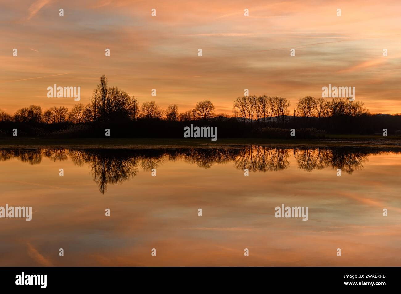 Alberi che si riflettono nell'acqua al tramonto. Paesaggio invernale cielo rosso e arancione. BAS-Rhin, Alsazia, Grand Est, Francia, Europa. Foto Stock