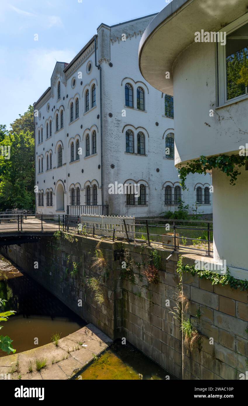 Weisse Mühle sulla Ruhr vicino a Essen-Werden, oggi sede del dipartimento musicale dell'Università Folkwang, vecchia chiusa Neukirchen, NRW, Germania, Foto Stock
