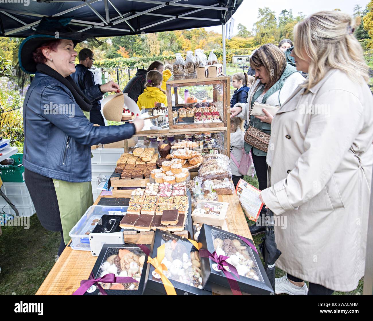 Dolci e dolciumi in vendita presso il mercatino di Natale di Florencecourt, Irlanda Foto Stock