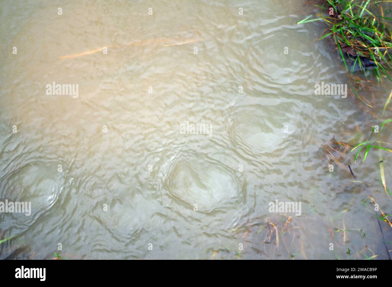 Effetti e fenomeni di un'alluvione. Foto Stock