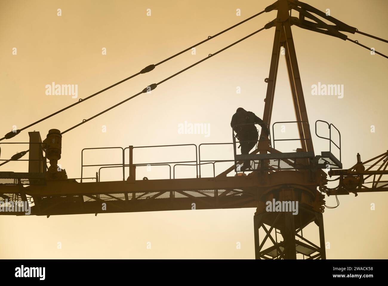 Operai che rimuovono una gru a torre Foto Stock