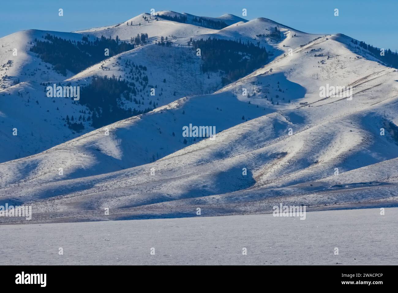 Neve sulle Black Pine Mountains, Sawtooth National Forest, confine tra Idaho e Utah, Stati Uniti Foto Stock