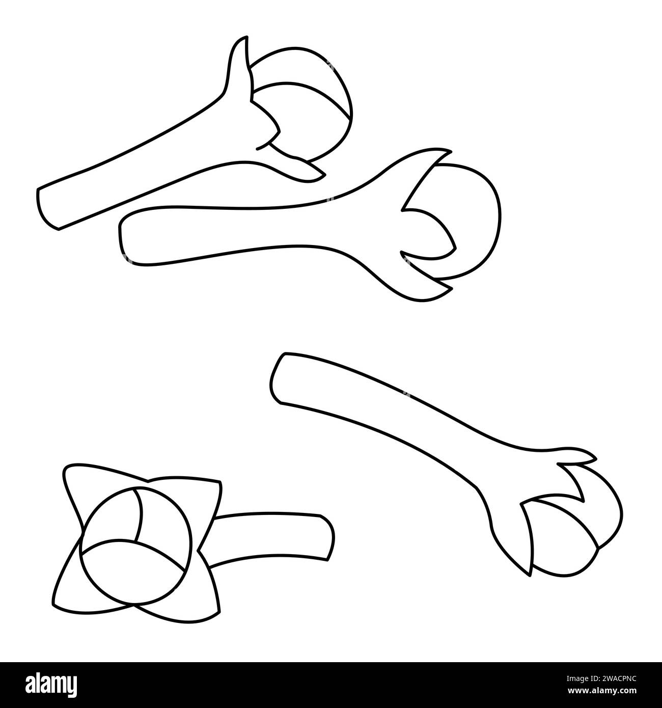Chiodi di garofano essiccati, spezie dal bocciolo di fiori di Syzygium aromaticum, isolati su fondo bianco. cartone animato con chiodi di garofano. ingredienti alimentari. Illustrazione vettoriale Illustrazione Vettoriale