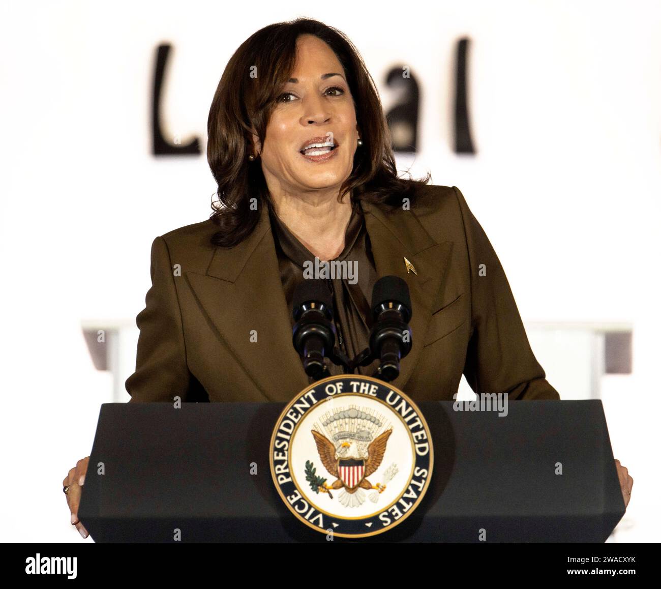 Las Vegas, Nevada, Stati Uniti. 3 gennaio 2024. Il vicepresidente KAMALA HARRIS si rivolge ai culinari Workers Local 226 presso la loro sede a Las Vegas. (Credit Image: © Brian Cahn/ZUMA Press Wire) SOLO PER USO EDITORIALE! Non per USO commerciale! Foto Stock