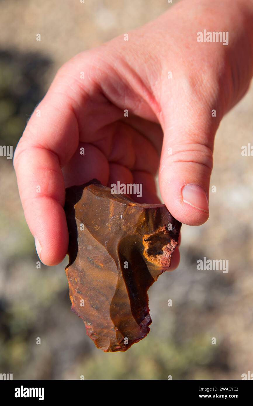 Jasper Point, Calico Mountains Wilderness, Black Rock Desert High Rock Canyon Emigrant Trails National Conservation area, Nevada Foto Stock