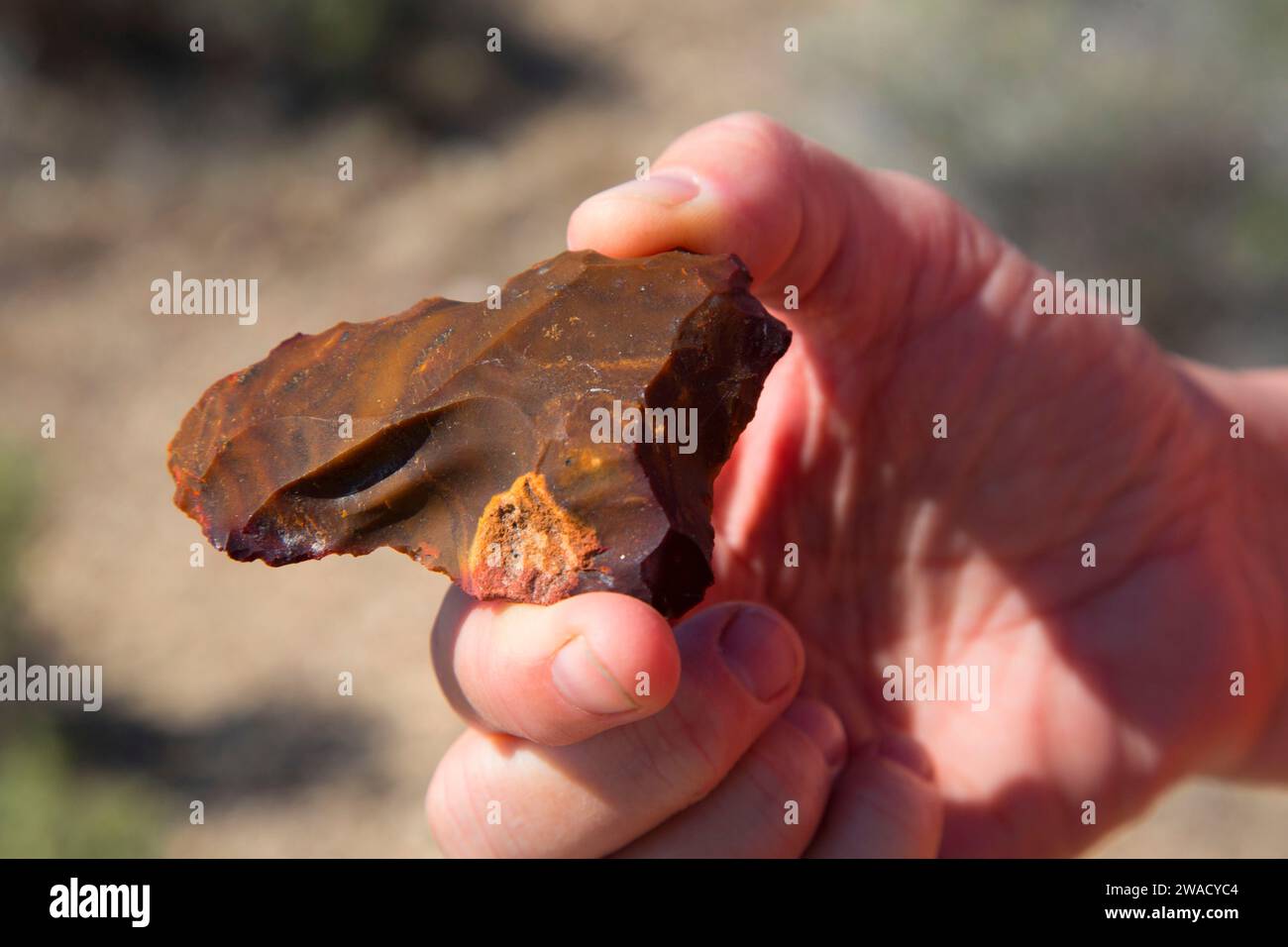 Jasper Point, Calico Mountains Wilderness, Black Rock Desert High Rock Canyon Emigrant Trails National Conservation area, Nevada Foto Stock