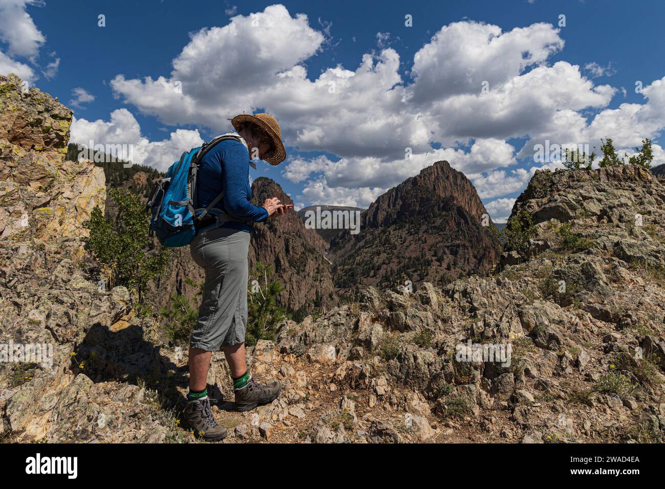 USA, Colorado, Creede, donna che guarda uno smartphone in prova nelle montagne di San Juan Foto Stock