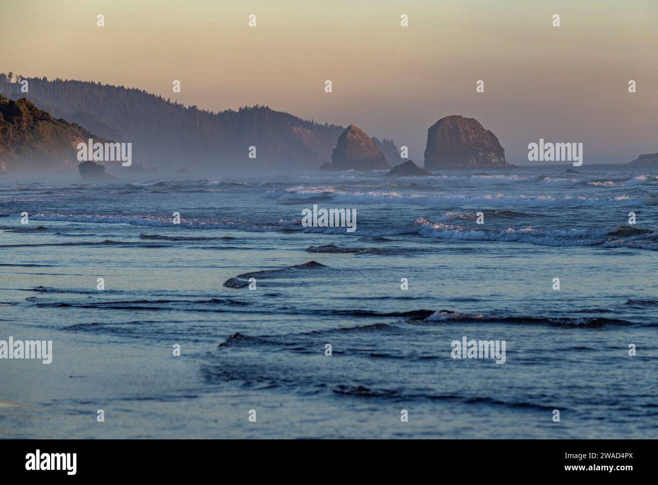 USA, Oregon, Mist Over Cannon Beach al crepuscolo Foto Stock