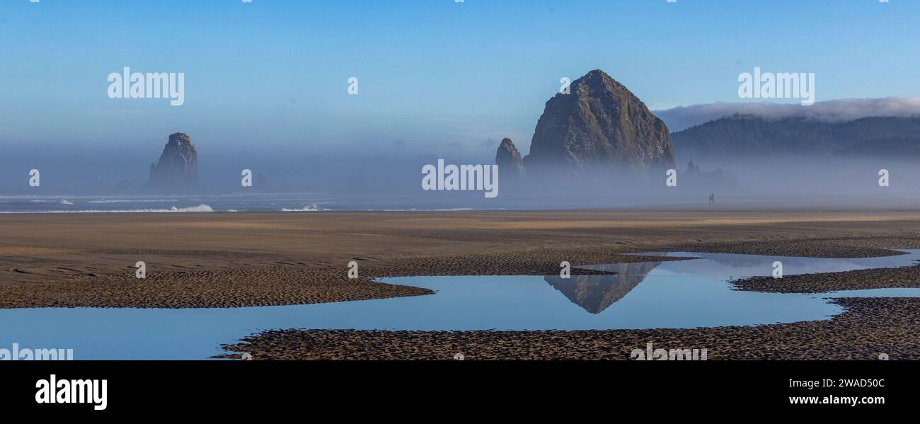 USA, Oregon, Haystack Rock a Cannon Beach in Morning Mist Foto Stock