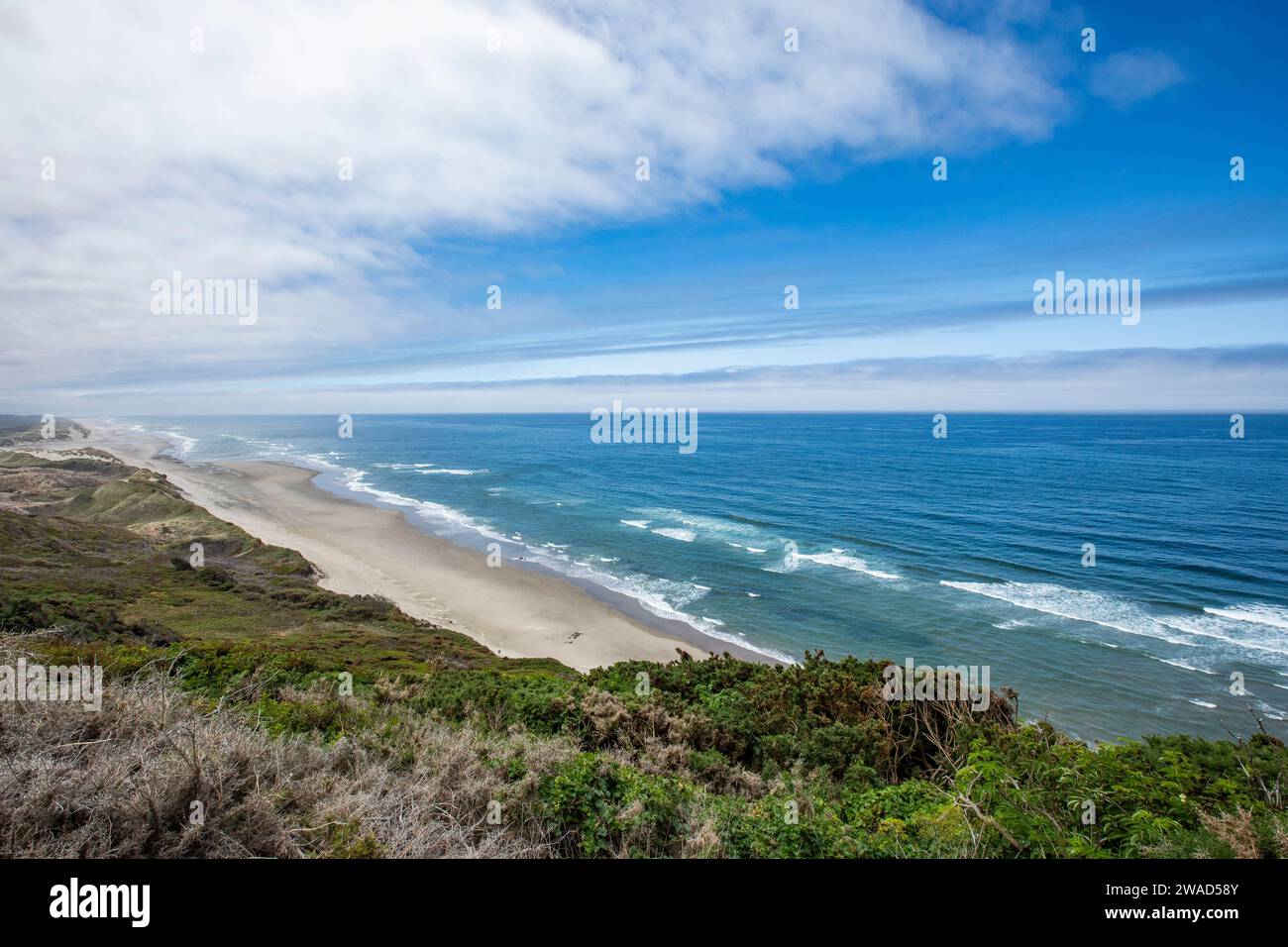 USA, Oregon, Newport, lunga striscia di spiaggia vuota Foto Stock