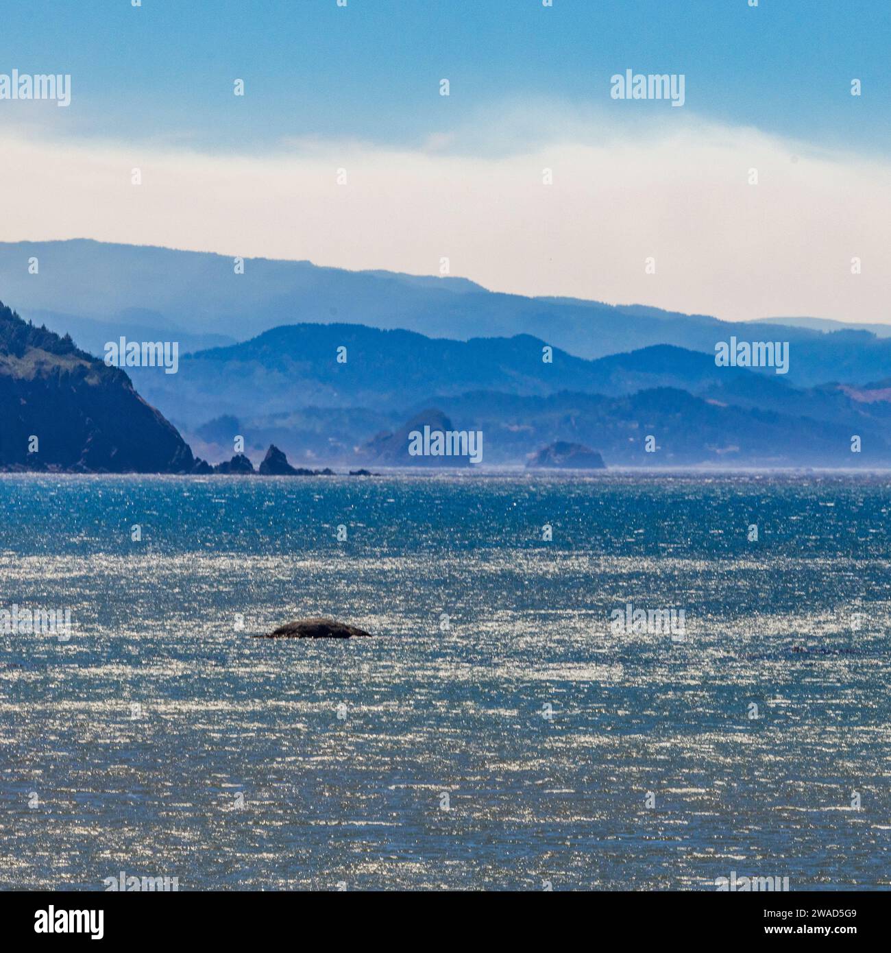 USA, Oregon, Bandon, paesaggio costiero con mare ondulato Foto Stock