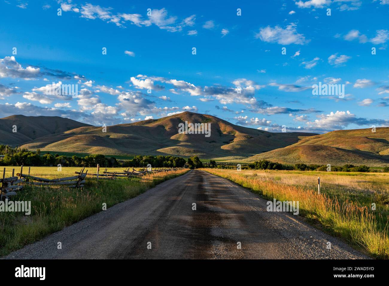 USA, Idaho, Bellevue, strada sterrata che conduce alle colline pedemontane la mattina d'estate Foto Stock