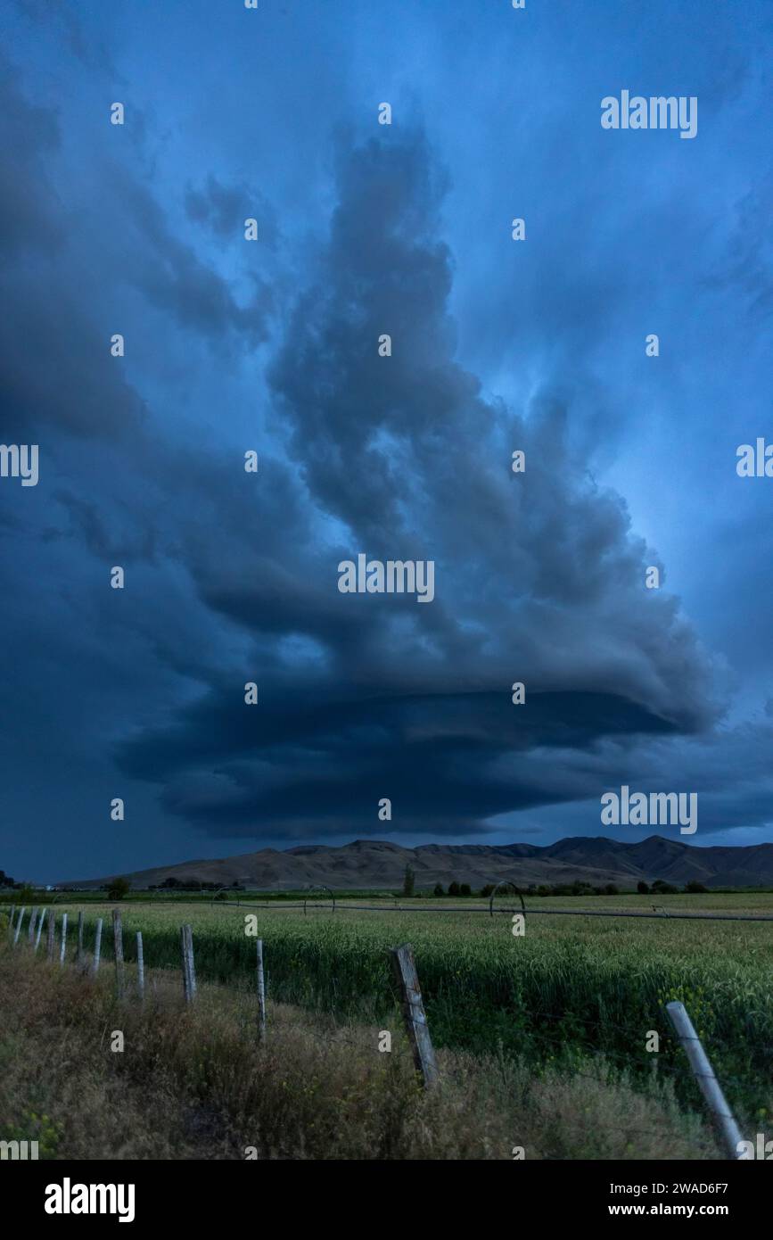 Arcus cumulonimbus nuvole di tempesta che attraversano i terreni agricoli Foto Stock