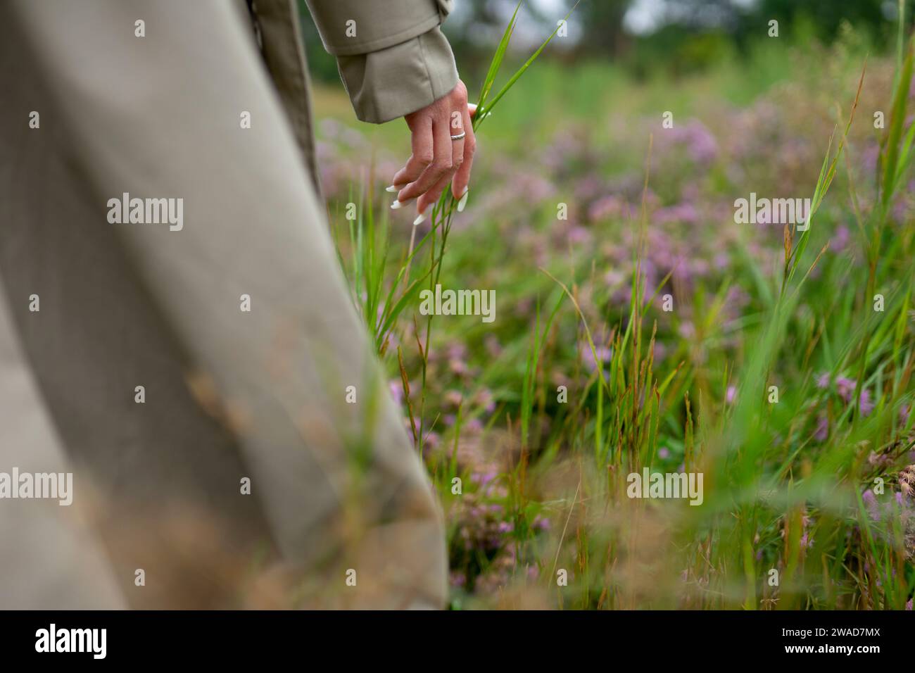 Primo piano di una donna con un trench che tocca l'erba Foto Stock