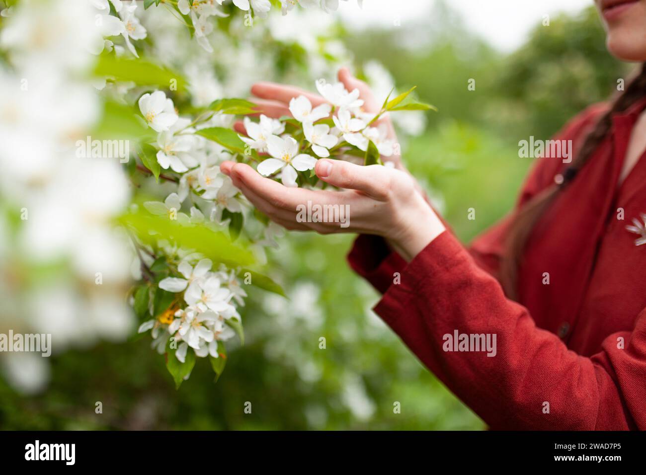Giovane donna che tocca l'albero in fiore Foto Stock