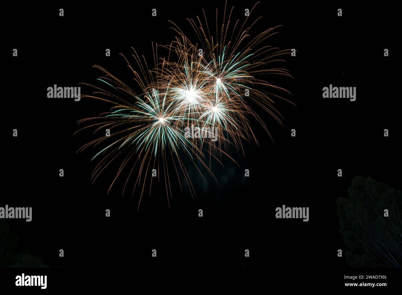 Fuochi d'artificio pirotecnici che celebrano la vigilia di Capodanno Foto Stock