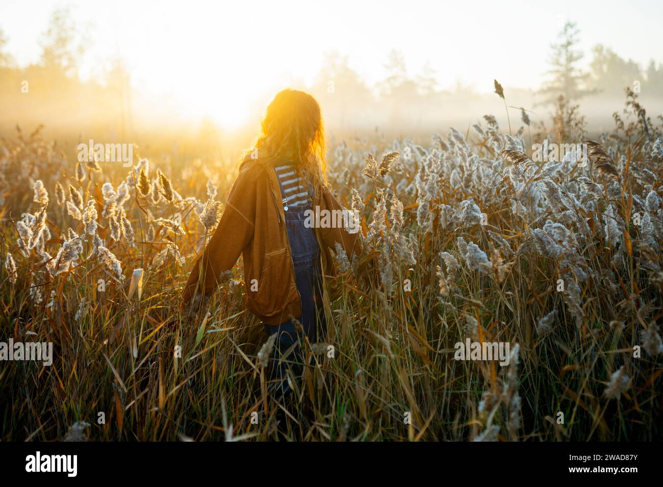 Giovane donna che cammina in campo all'alba Foto Stock