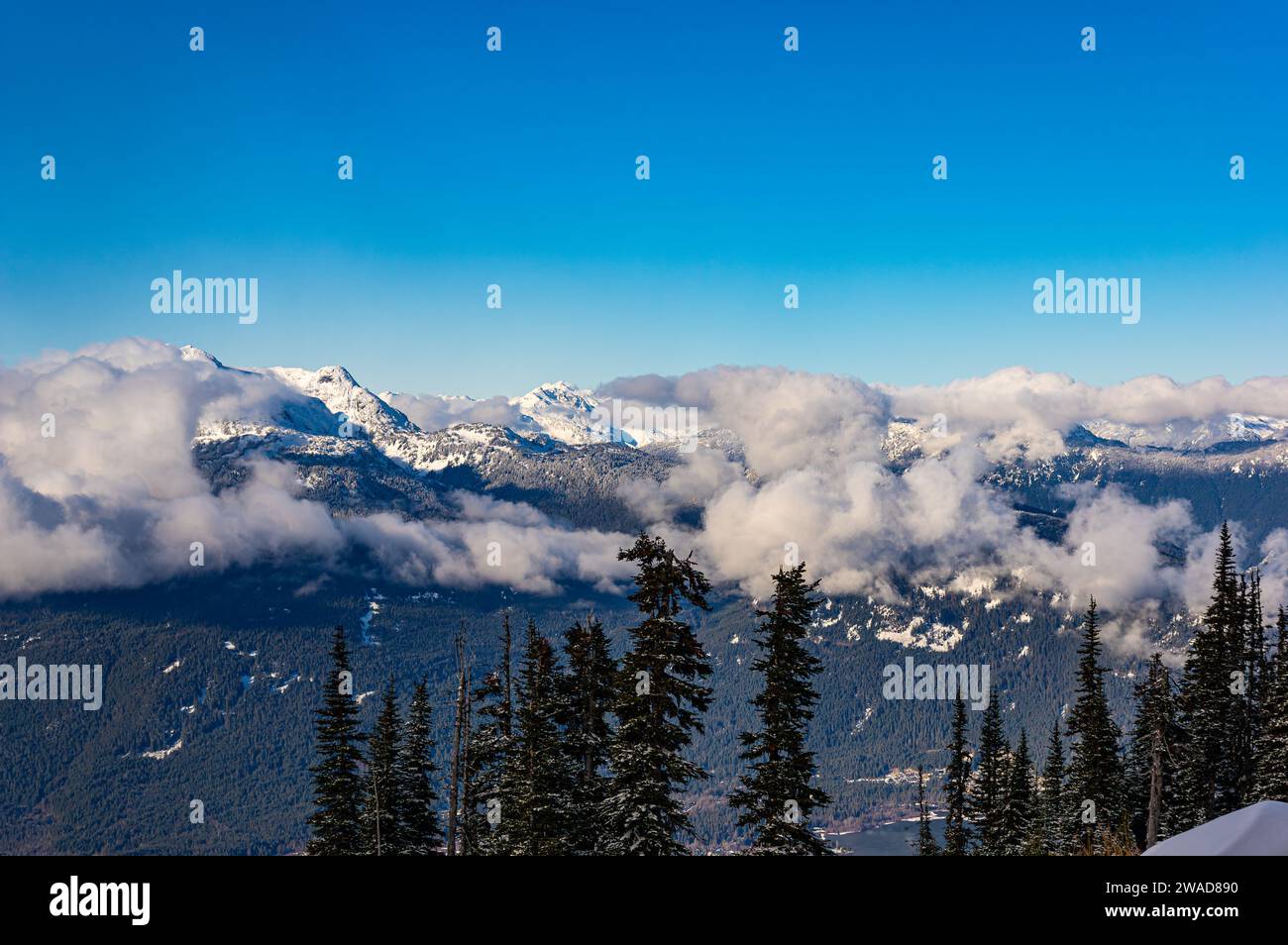 Una vista delle cime delle nevicate di montagna inghiottite da nuvole con la vallata in lontananza e gli alberi in primo piano dalla Blackcomb Mountain a Whistler, British Columbia, CAN Foto Stock