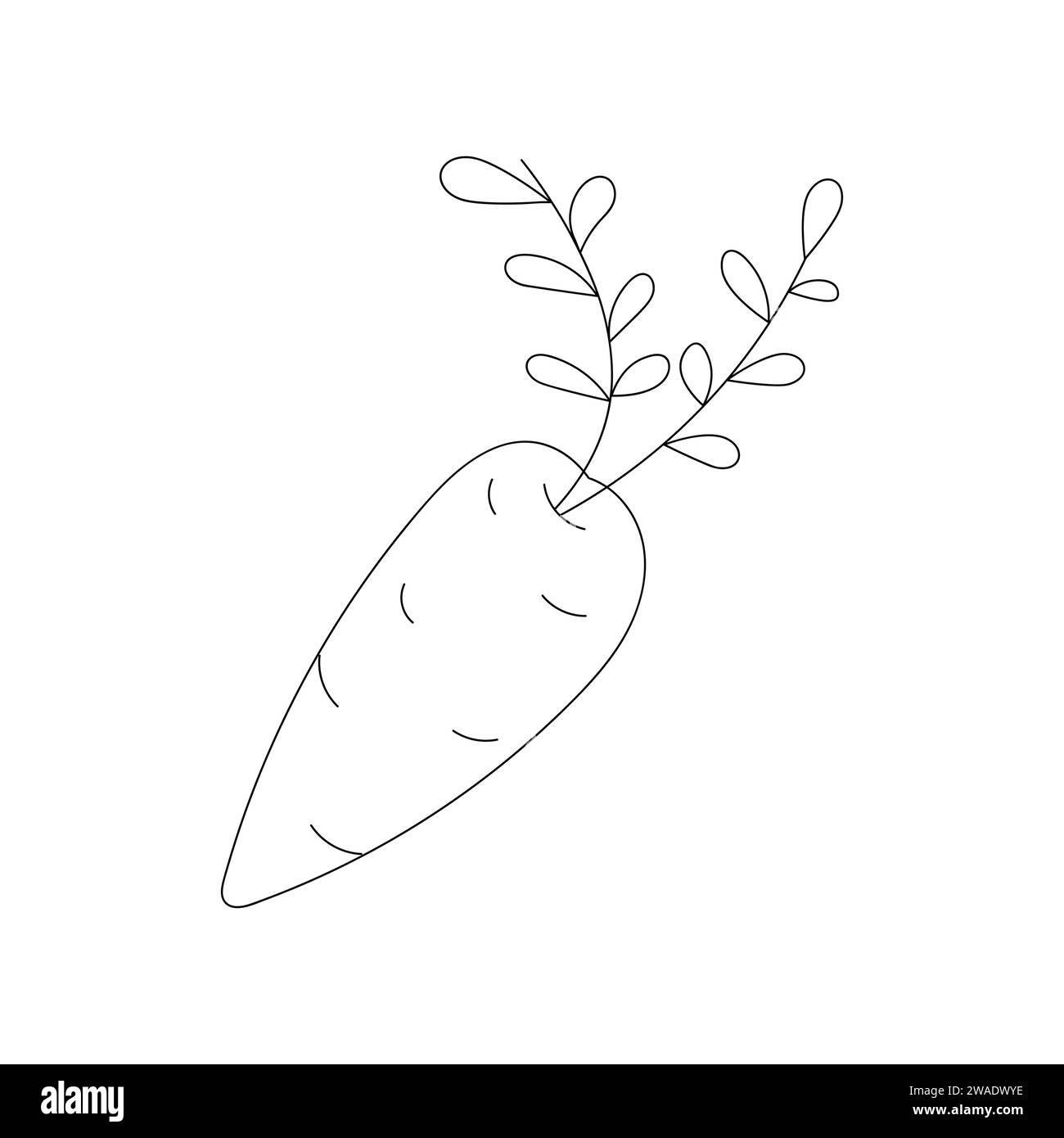 Doodle Carrot su sfondo bianco Illustrazione Vettoriale