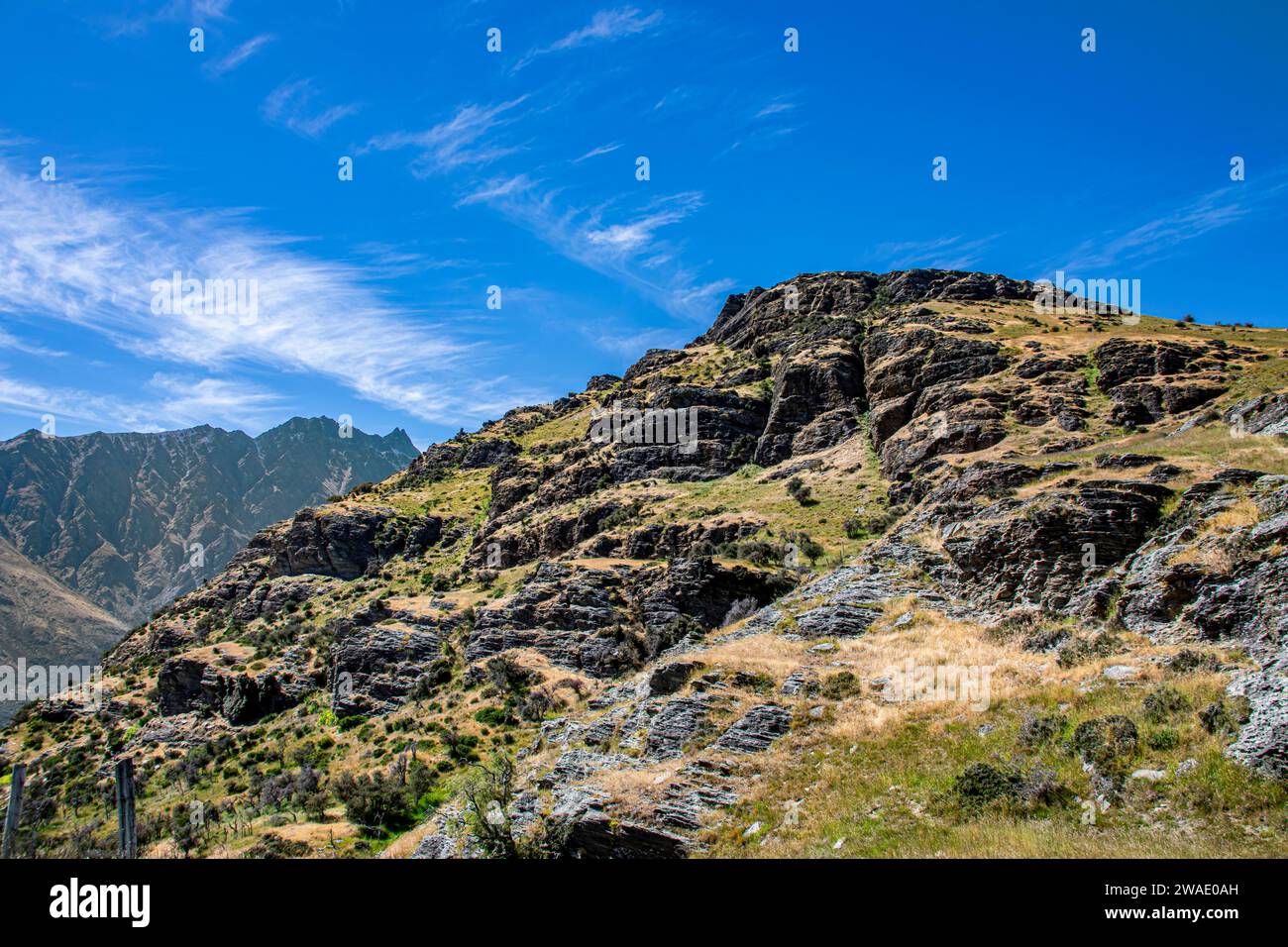 La collina di Deer Park Heights Queenstown, nuova Zelanda. Si tratta di una strada panoramica e di un incontro con gli animali situato nel cuore di Queenstown. Foto Stock